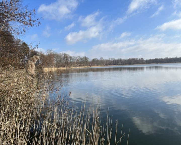 Działka Sprzedaż Choszczno