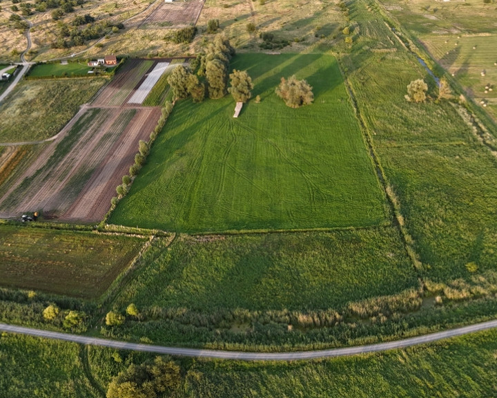 Działka Sprzedaż Lubczyna